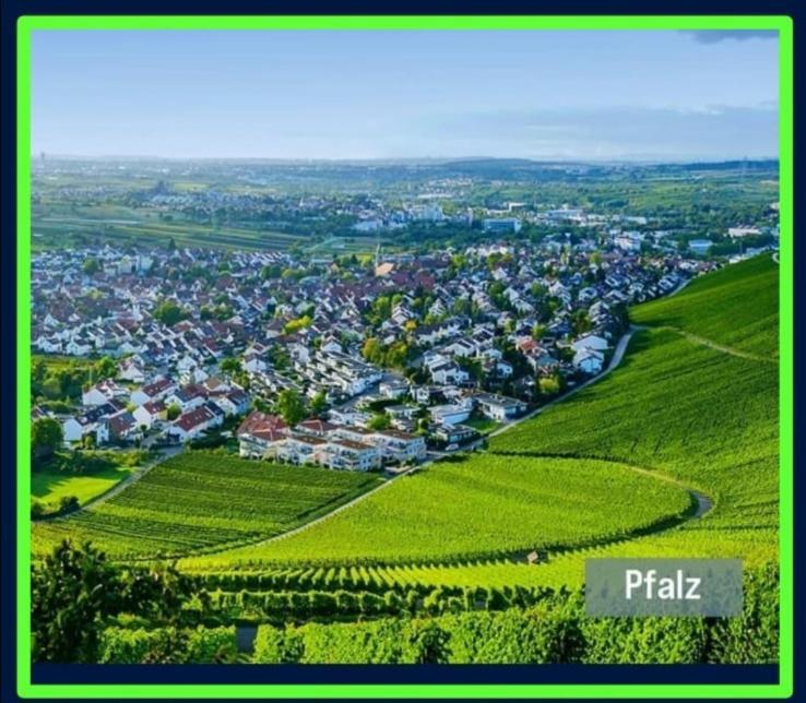 Ferienwohnung Forest & Wein Нойштадт-ан-дер-Вайнштрасе Номер фото